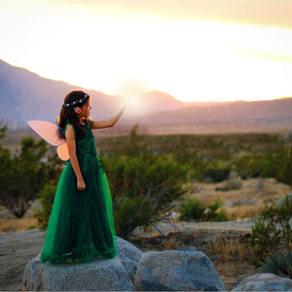 Enchanting Green Fairy Costume for Kids